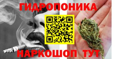 соль ск Новокубанск