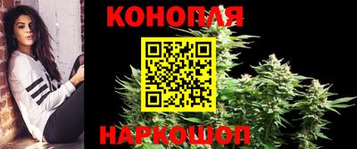 соль ск Новокубанск