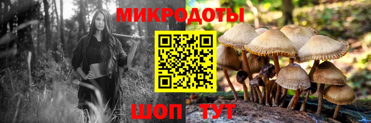Псилоцибиновые грибы GOLDEN TEACHER  Вход с VPN  Псилоцибиновые грибы мицелий  Тверь 